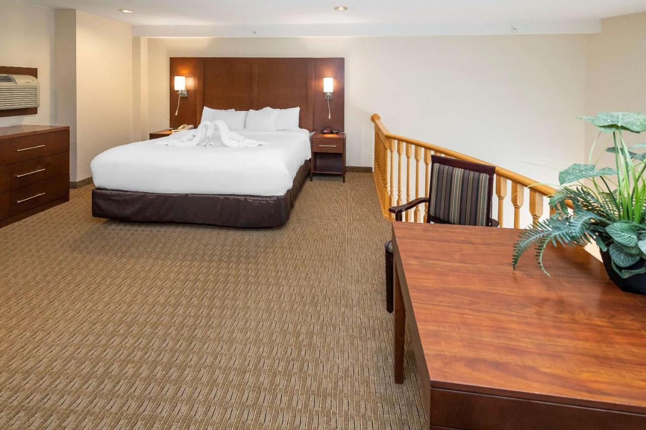 Comfort Inn & Suites Медисин-Хат Экстерьер фото
