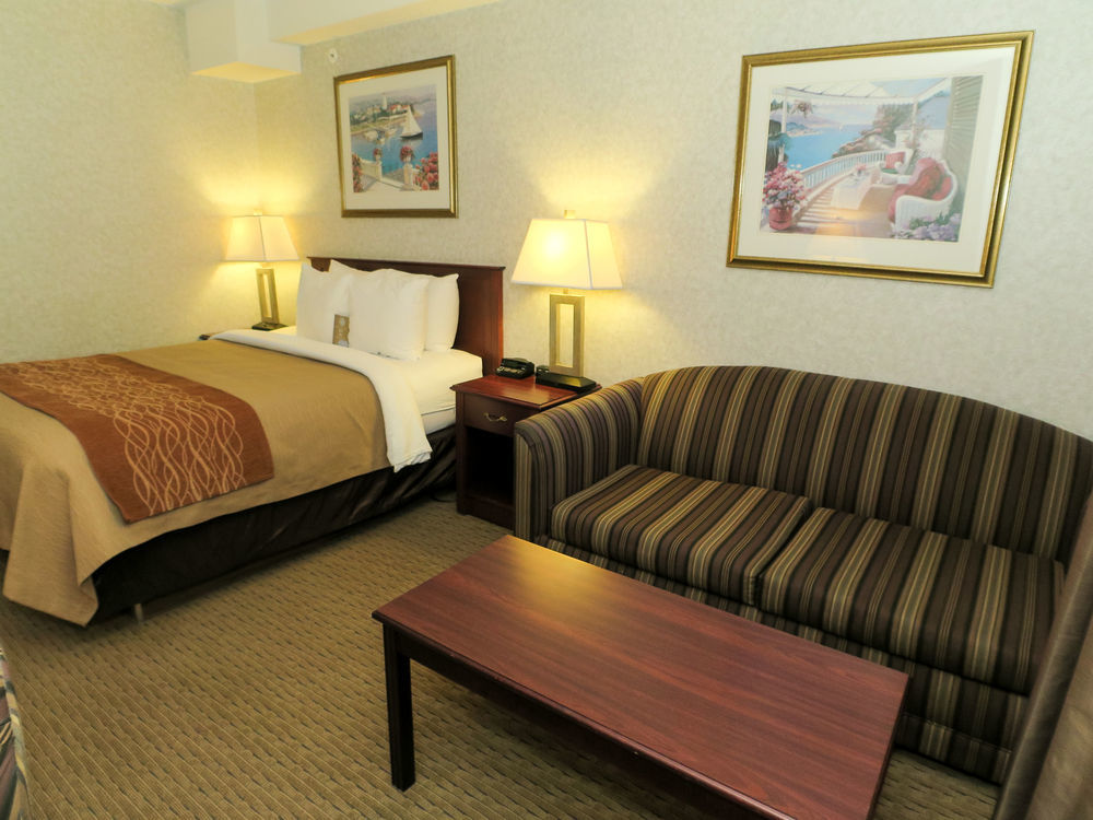 Comfort Inn & Suites Медисин-Хат Экстерьер фото